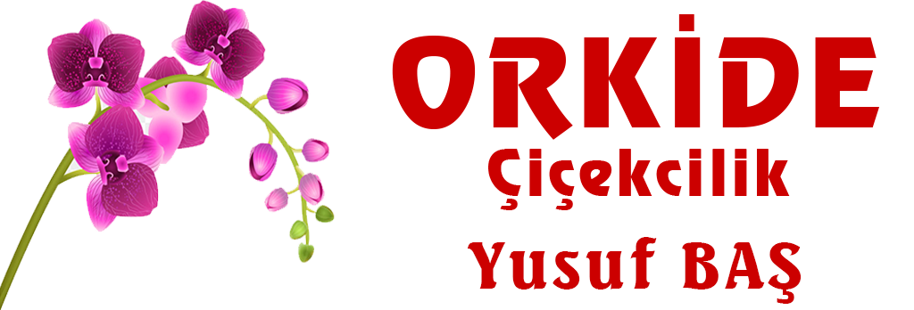 orkidecicecilkerzincan.com